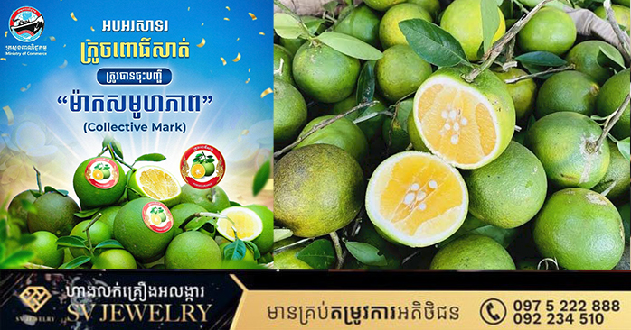 Pursat Orange Officially Registered as Collective Mark to Strengthen National Product Identity