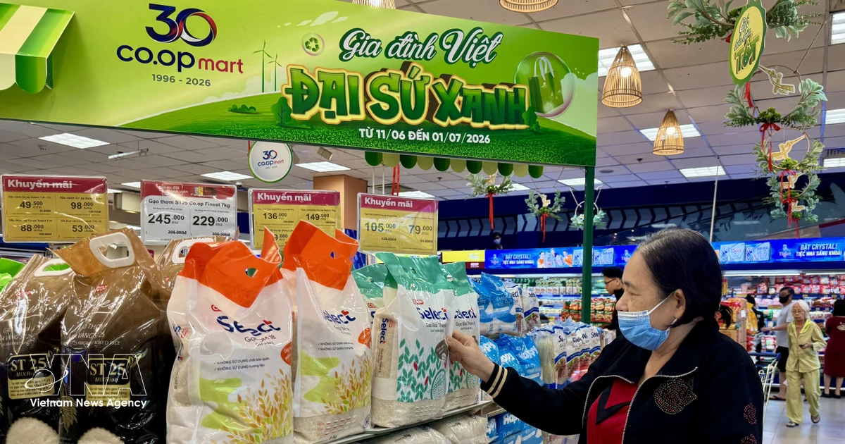 Vietnam's Economy Driven by Robust Domestic Consumption