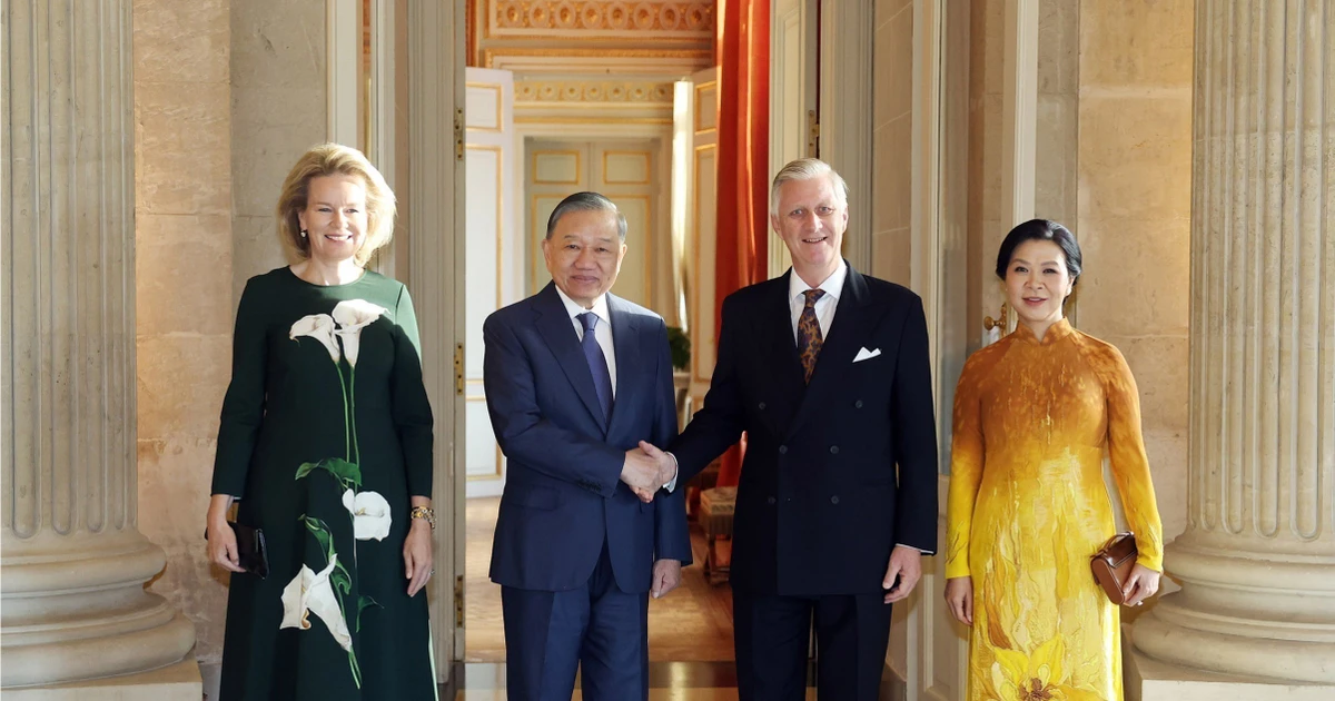 Vietnamese President To Lam Meets Belgian King Philippe, Discussing Strategic Partnership