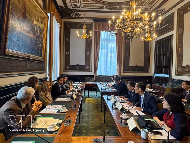 Vietnam, Belgium Foster Cooperation on Child Protection in Digital Environment