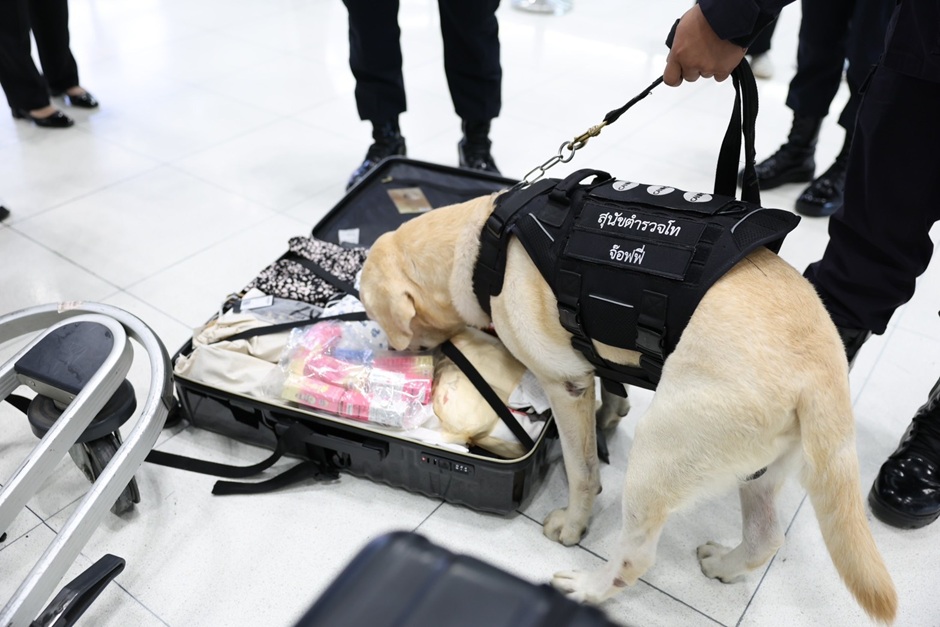 AOT Enhances Drug Smuggling Prevention with X-rays and K-9 Units