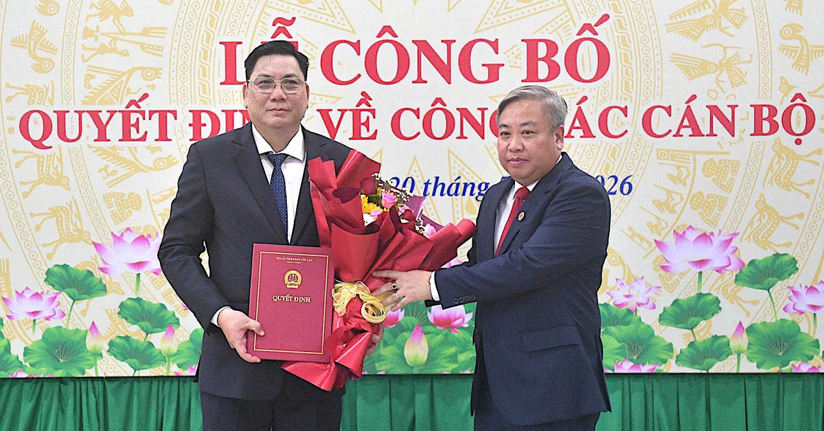 Phung Van Hai Appointed Chief Justice of Tay Ninh Provincial People's Court