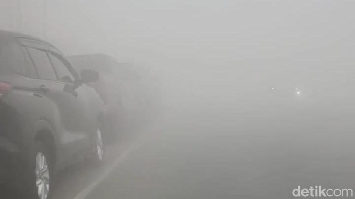 ボルネオ島でPM2.5濃度急上昇、住民は「雲の上にいるよう」と悲鳴