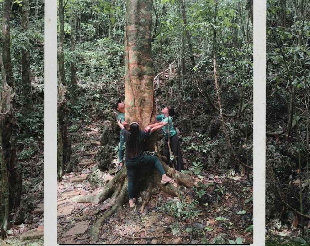 DENR, aDryada ink deal to restore 120,000 hectares of Samar rainforest