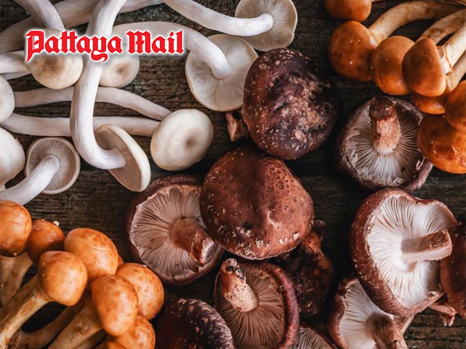 7 Health Benefits of Mushrooms Beyond Their Delicious Taste in Thai Cuisine