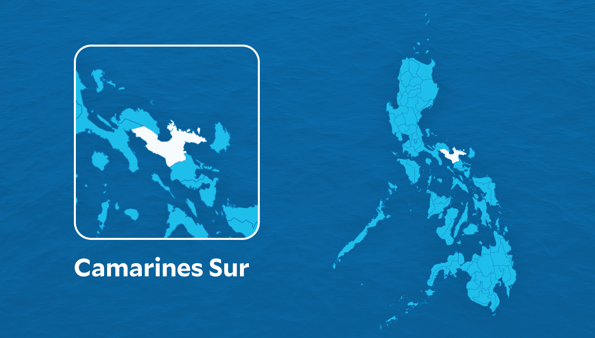 Camarines Sur bags PCCI special citation for business-friendly policies