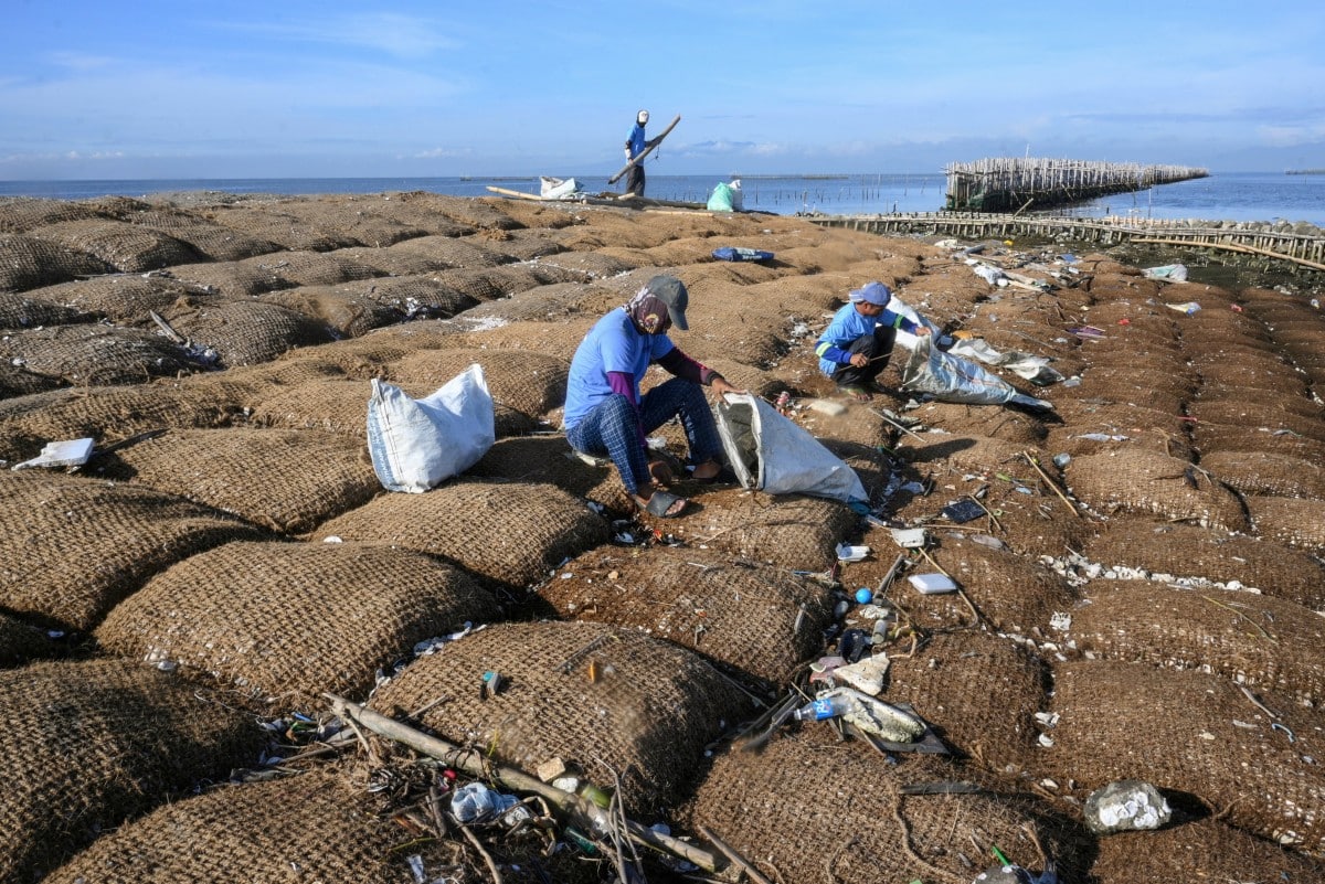 Bulacan Island Embraces Nature to Combat Rising Seas