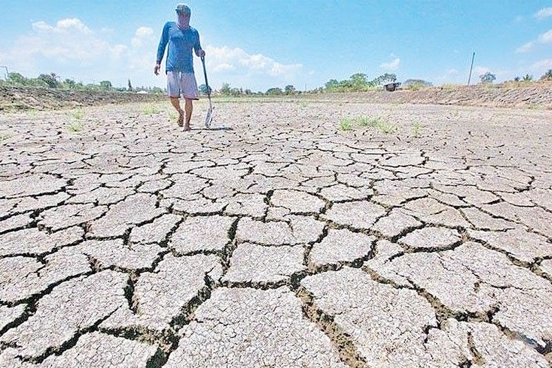 エルニーニョ対策に97億ペソ、フィリピン農業省が支援策