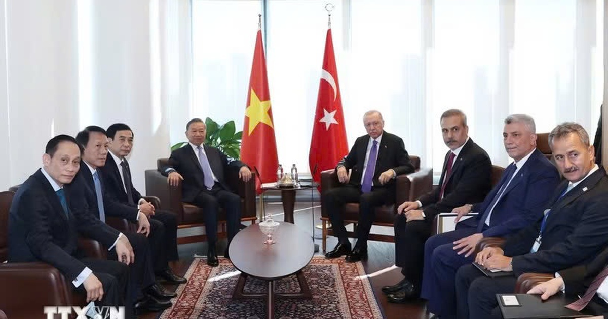 Vietnam's President To Lam Meets Turkish President Erdogan at UNGA, Discusses Elevating Ties