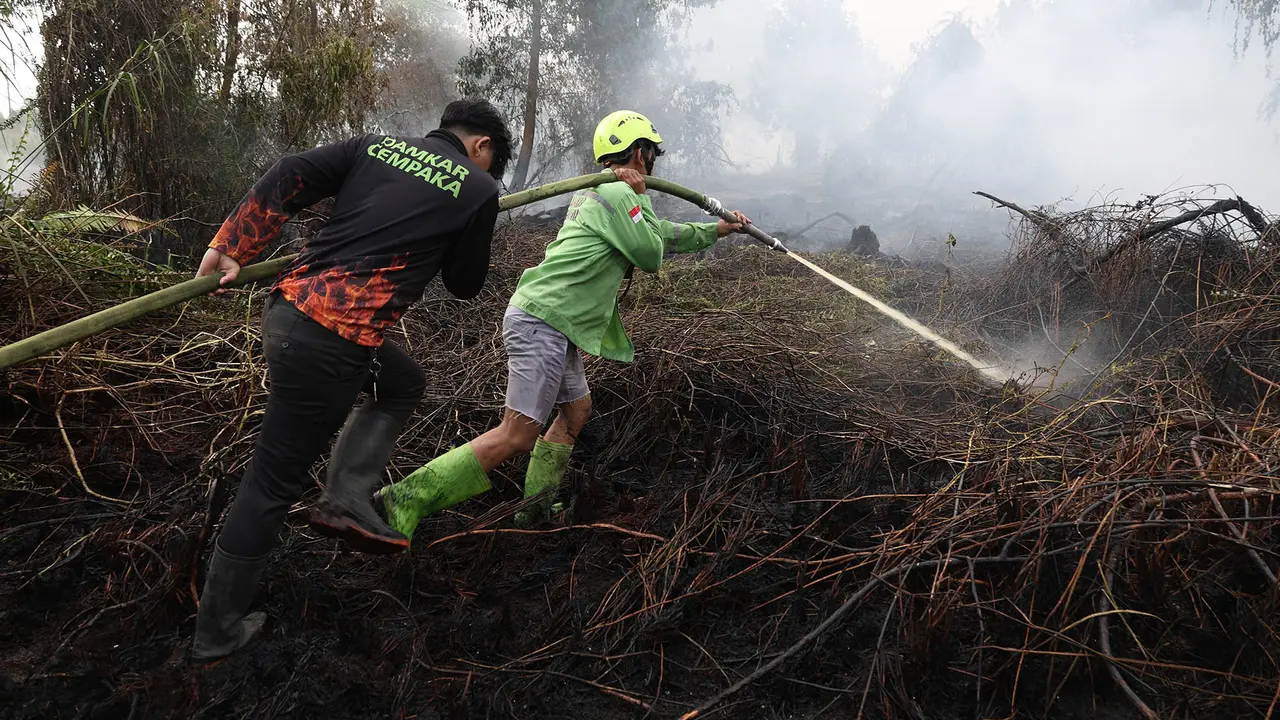 Over 12,000 Personnel Deployed to Combat Kalimantan Forest Fires