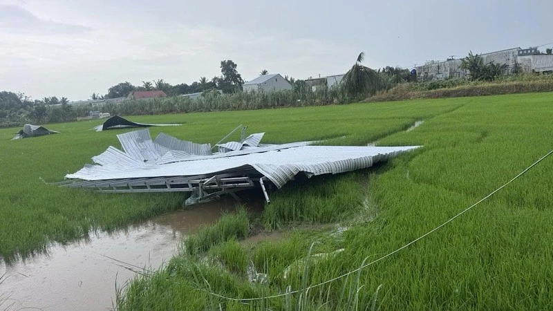 Sudden Storm Hits Mekong Delta, Damaging Homes and Infrastructure