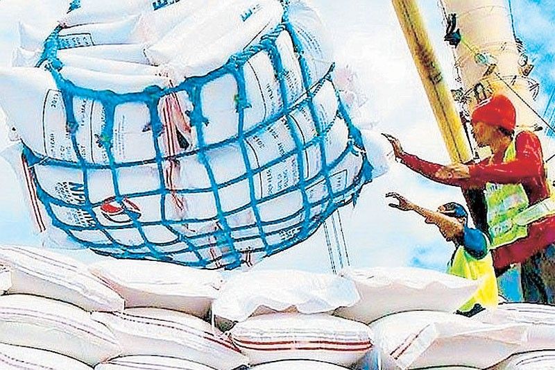 フィリピン、米輸入量上半期で過去最高を記録