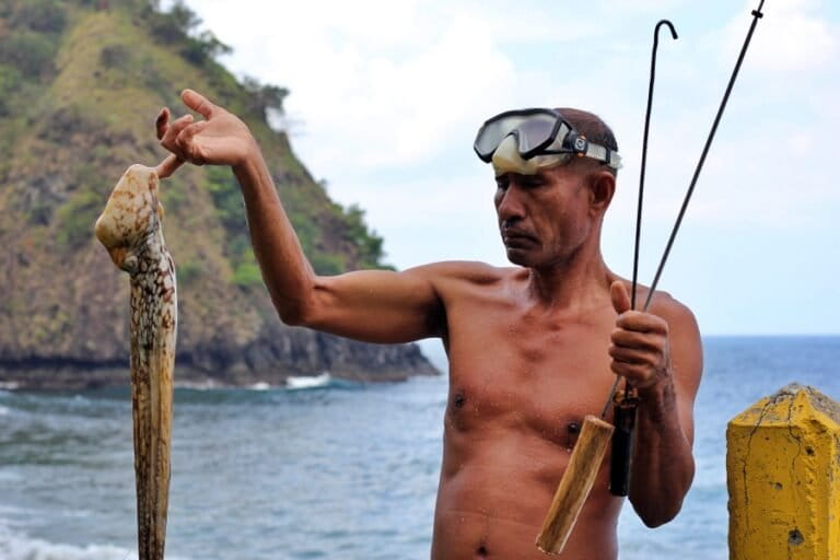 エンデのタコ漁師、フローレス海南部を守る取り組み