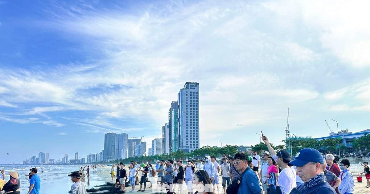 Early Summer in Da Nang: Tourists Captivated by Traditional Fishing Scenes