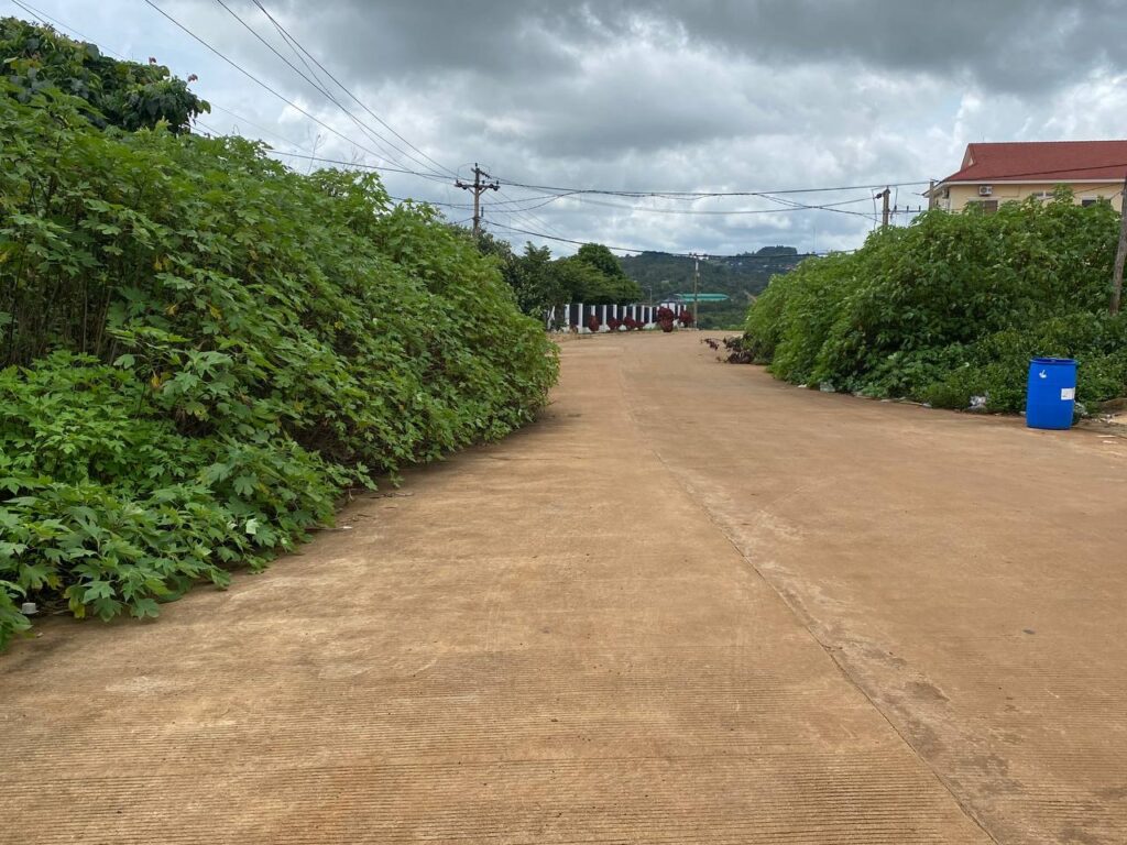 センモノロム市、道路敷地への雑草侵入で住民が清掃を要望、当局は市民協力呼びかけ