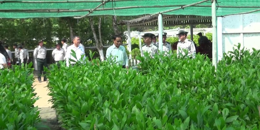 ミャンマー、2026年植林キャンペーン準備加速