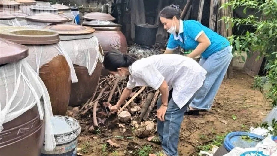 Dengue Fever Outbreak in Nghe An, Vietnam: 59 Cases Recorded