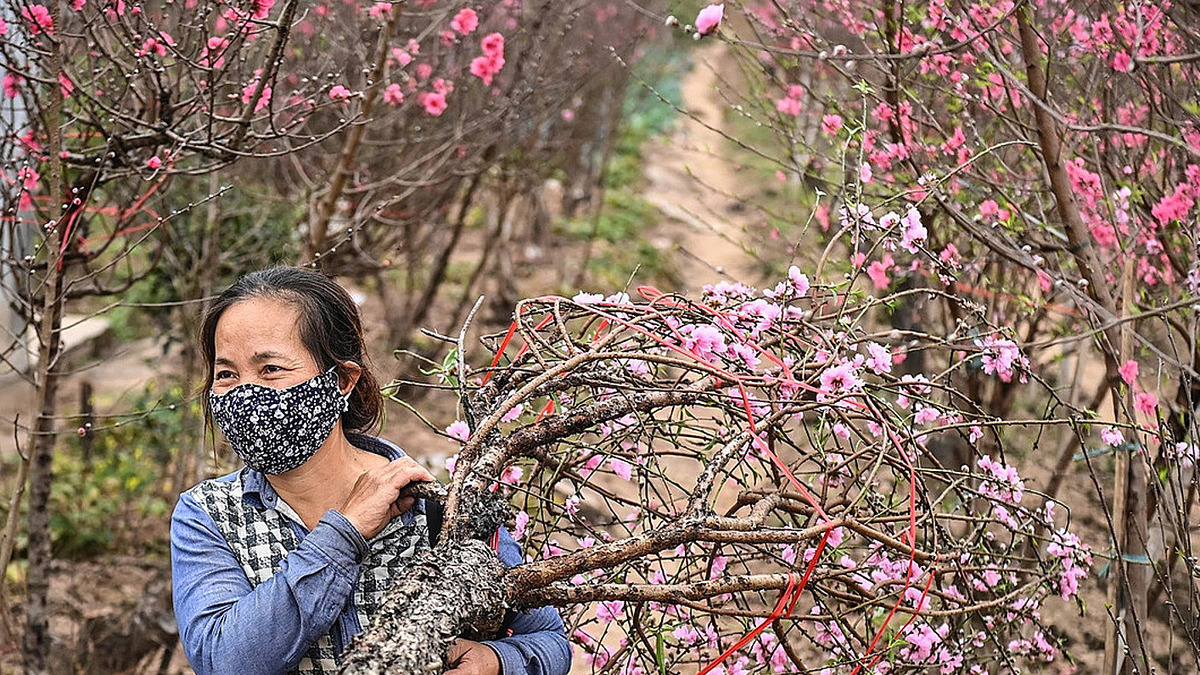 Vietnam Proposes Holiday Calendar for 2027, Tet May Offer Up to 10 Days Off