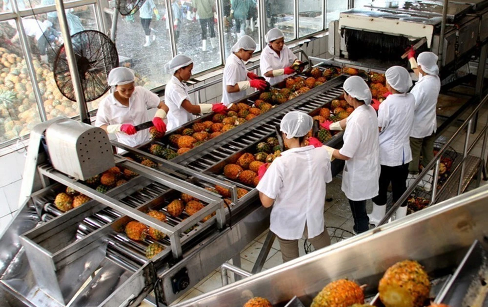 Vietnam Eyes Middle East for Farm Produce Exports with FTA Leverage, Logistics Support