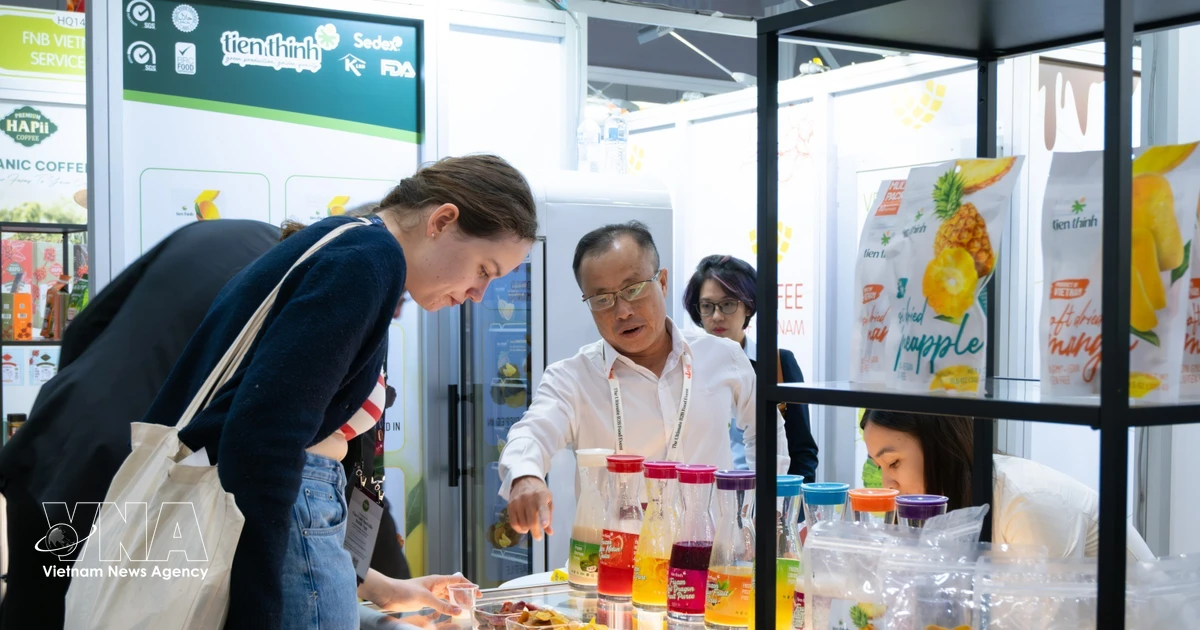 Vietnam's Growing International Presence: Advances in Economy, Diplomacy, and Cultural Exchange