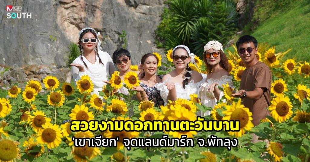 パッタルン県「カオ・ジアック」にひまわり畑、新たな観光地として整備
