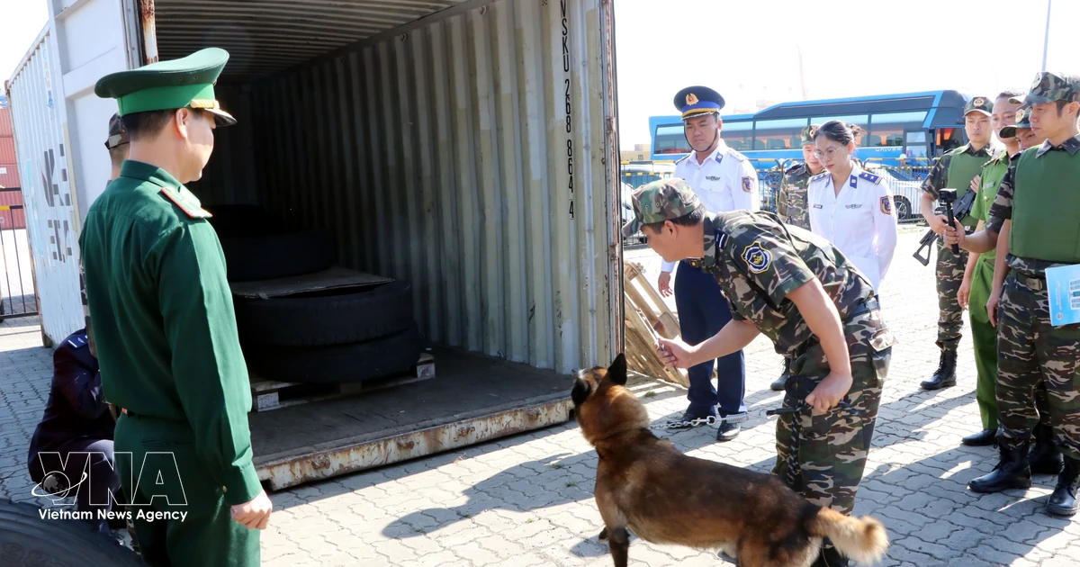 Vietnam Orders Activities for 2026 Anti-Drug Action Month