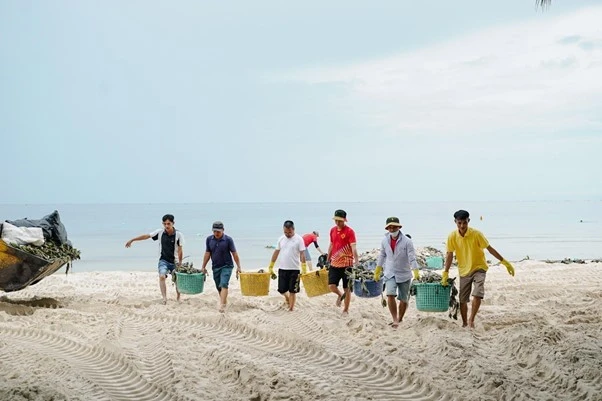 Phu Quoc Gears Up for APEC 2027 with Enhanced Beach Cleaning Efforts