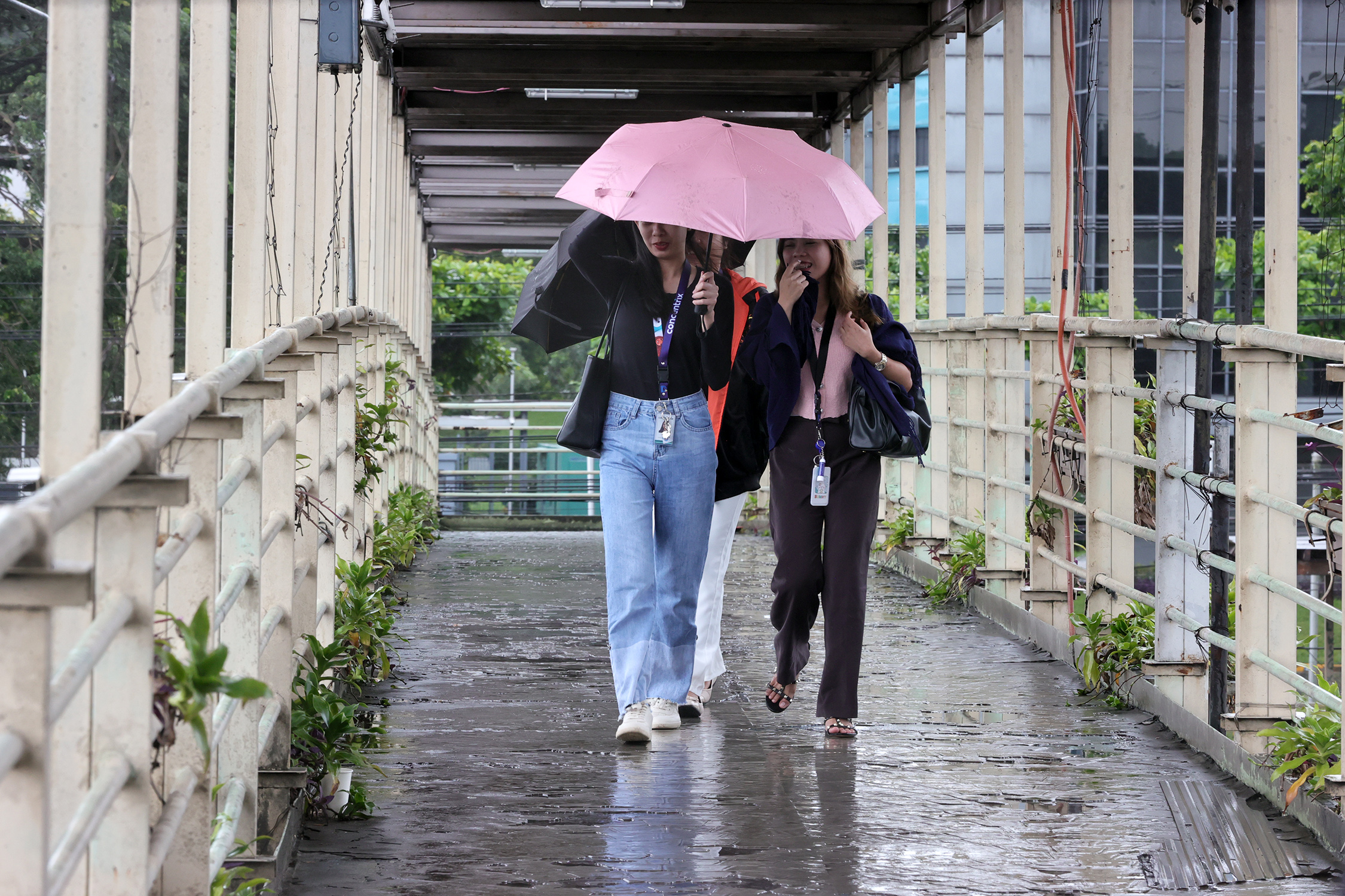 独立記念日に恵みの雨か、南西モンスーンの影響でルソン島西部で降雨予報