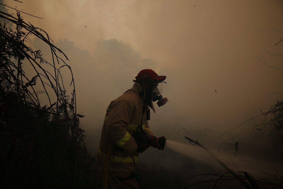 Indonesia's Toxic Haze Sparks Regional Concern Amid Deliberate Fires