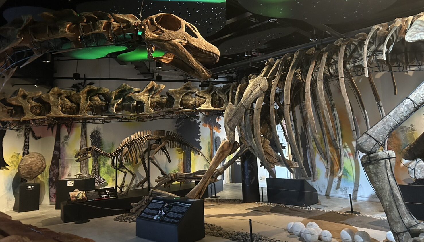 東南アジア最大級の恐竜「ナガタイタン」がタイで発見、ラオスの化石との関連も注目