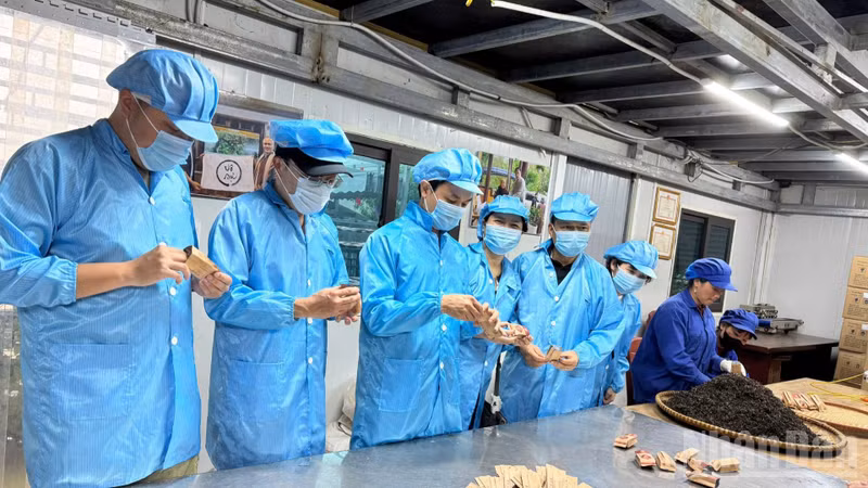 Vietnam July 2026: Stable Public Life, Continued Focus on Social Security