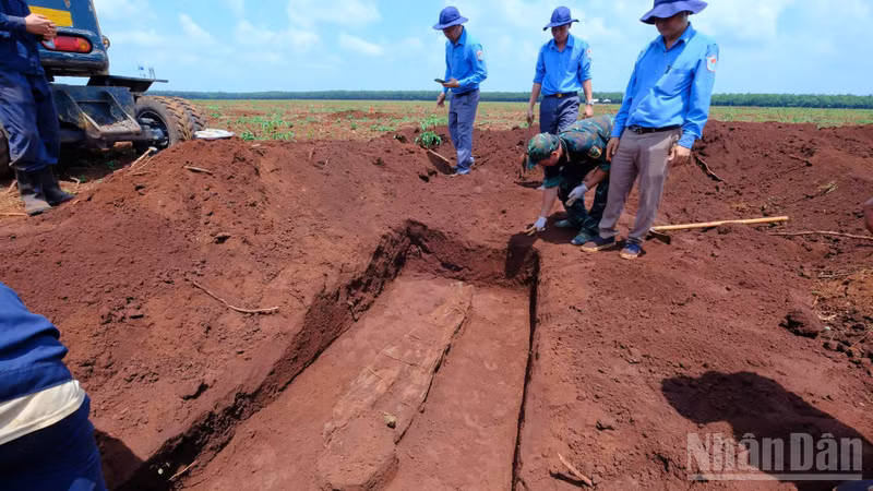 Dong Nai Province Expands Search for Martyrs' Remains, Potential New Discovery