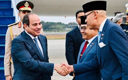 インドネシアとエジプト、大統領会談で4分野の協力強化に合意