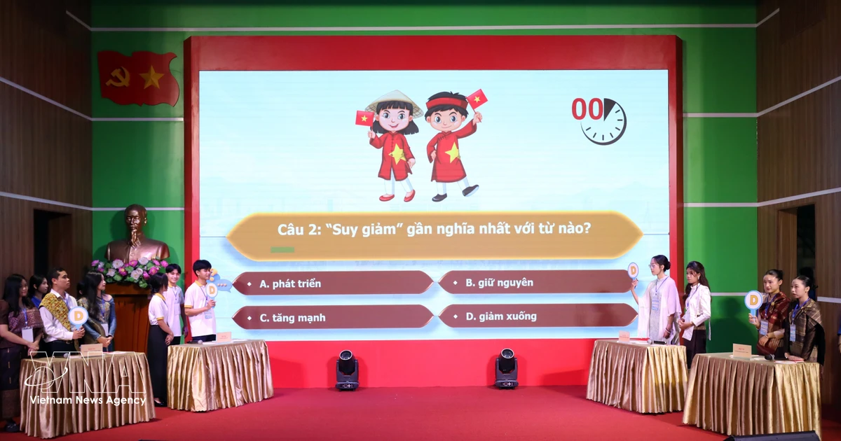 Foreign students vie for top prize in Da Nang Vietnamese-speaking contest