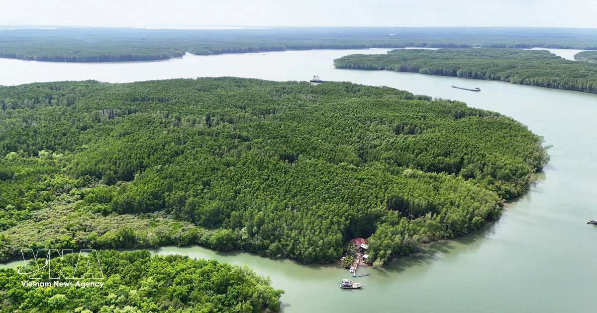 Vietnam Eyes Green Credit-Carbon Market Link for Funding