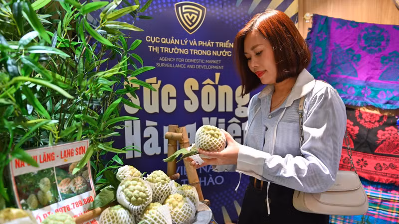 Vietnam Aims for Sustainable Growth Through Domestic Retail Market Expansion