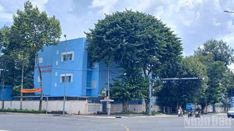Dong Thap Province to Transform Prime Central Land into Park