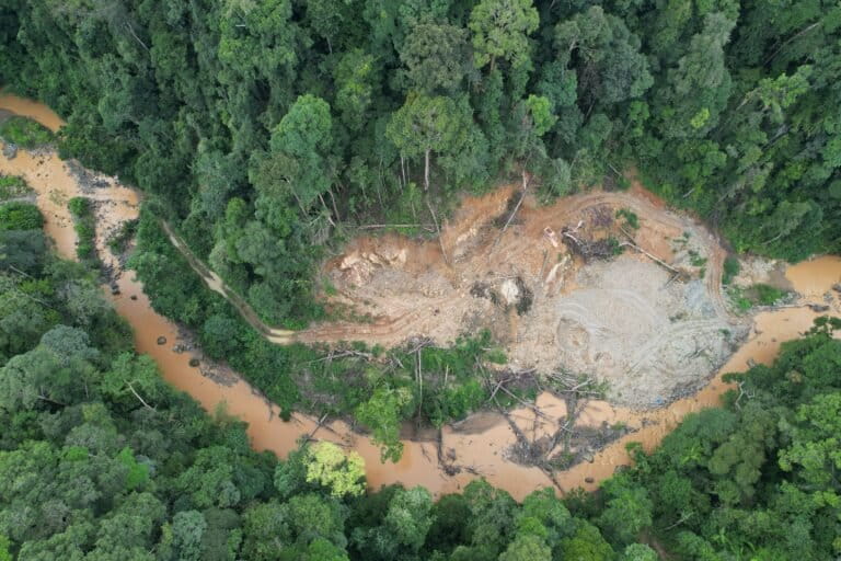 Illegal Gold Mining Ravages World Heritage National Park in Jambi