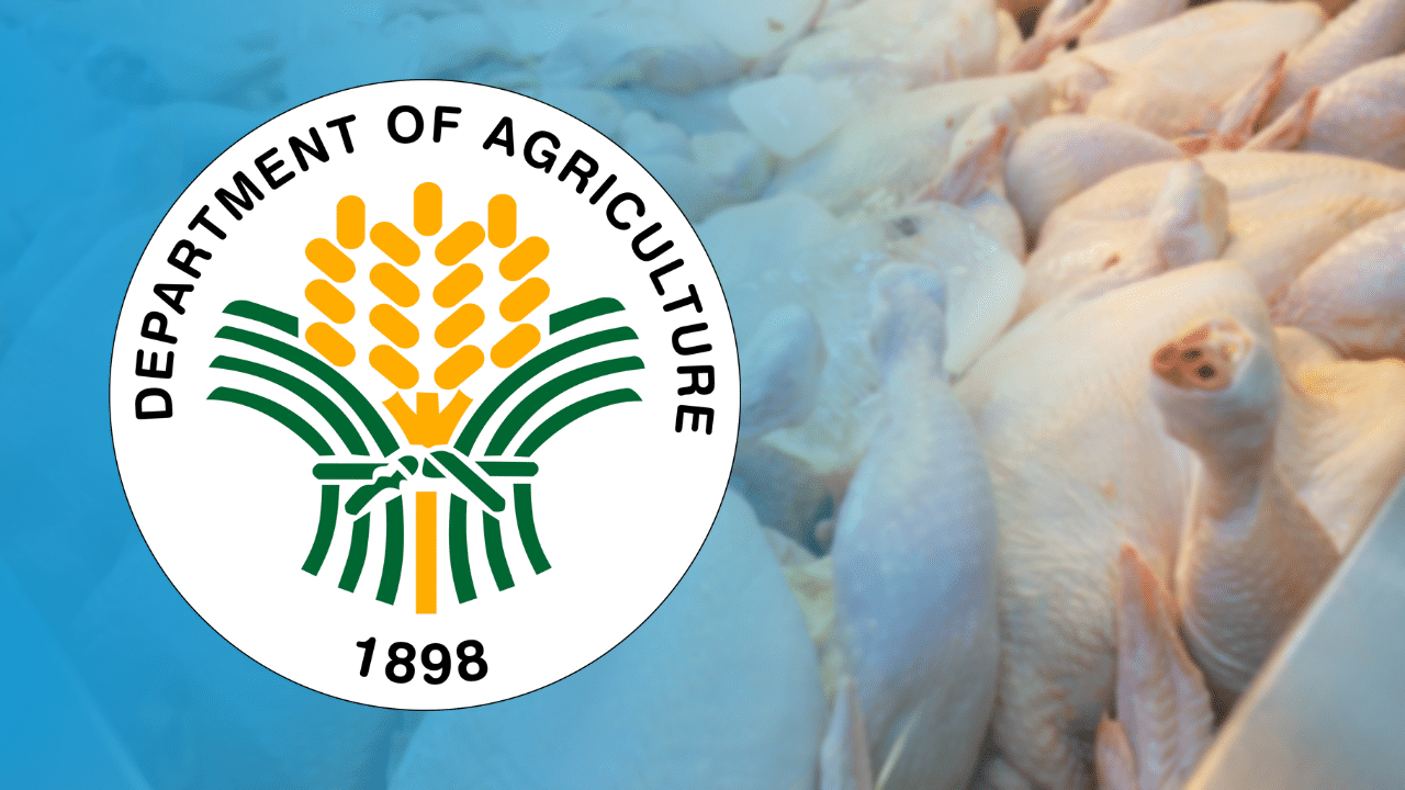 Philippines Lifts Poultry Ban on Japan, Boosting Local Supply and Genetics