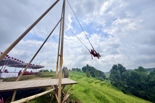 Yunnan-Bali Sister-Province Friendship Deepens Through Two Decades of Organic Rice Project