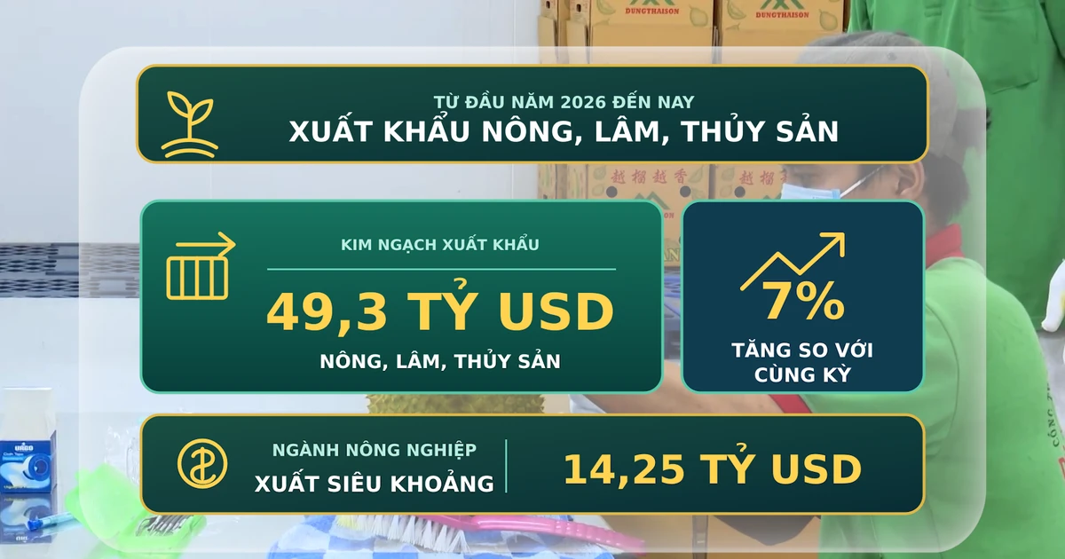ベトナム農林水産物、輸出493億ドル超 - 過去最高水準を更新