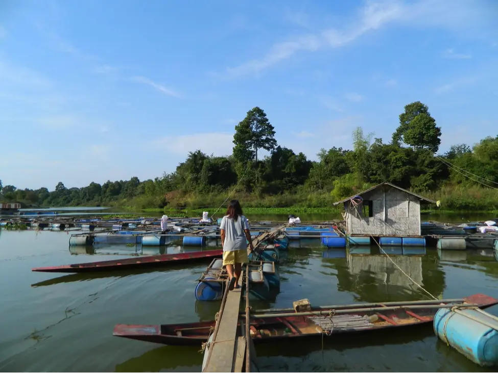 タイ東北部で高まる契約農業への規制強化の動き:農家の自立を求めて