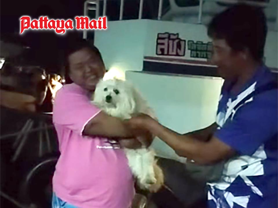 Dog Rescued at Sea Reunited with Owner After Ordeal Off Koh Sichang