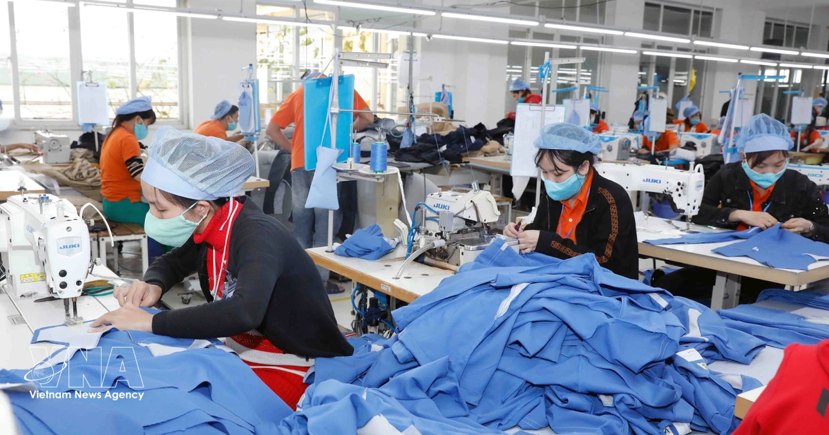 Vietnam's Garment Sector Shifts Focus to Value-Added Growth Amidst Export Slump