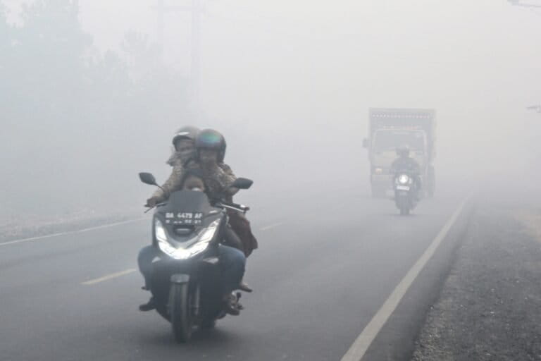 森林火災煙害で呼吸器疾患急増、インドネシア・カリマンタンで7万件超