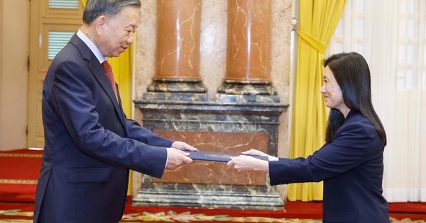 Vietnam's Top Leader Meets New US Ambassador, Affirms Comprehensive Strategic Partnership