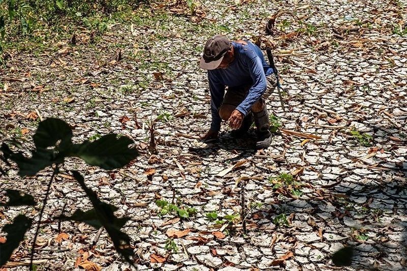 El Niño Threatens Negros Farms, Cloud Seeding Operations to Expand