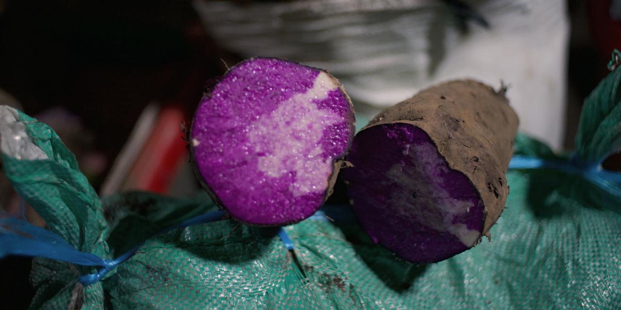 Philippines Allocates Funds for Ube Development, Eyes Global Market Dominance