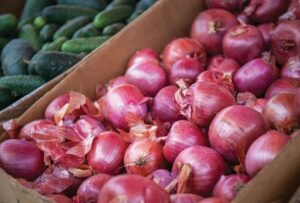 Philippines Questions P86M Onion Imports Amid Oversupply
