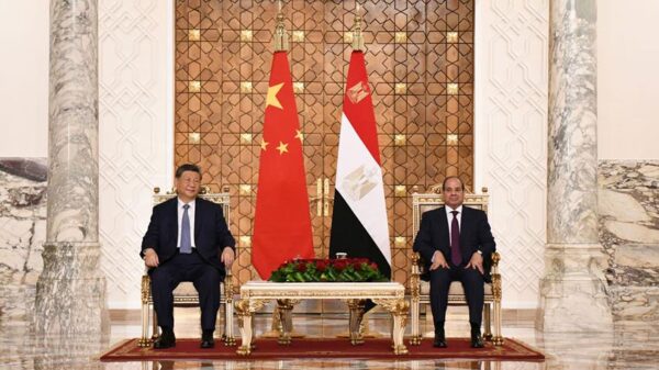 Beyond Trade Deficits: Egypt's Investment Strategy With China